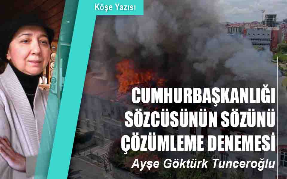 158167ayse goktur.jfif